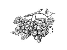 Grapes Cluster Woodcut